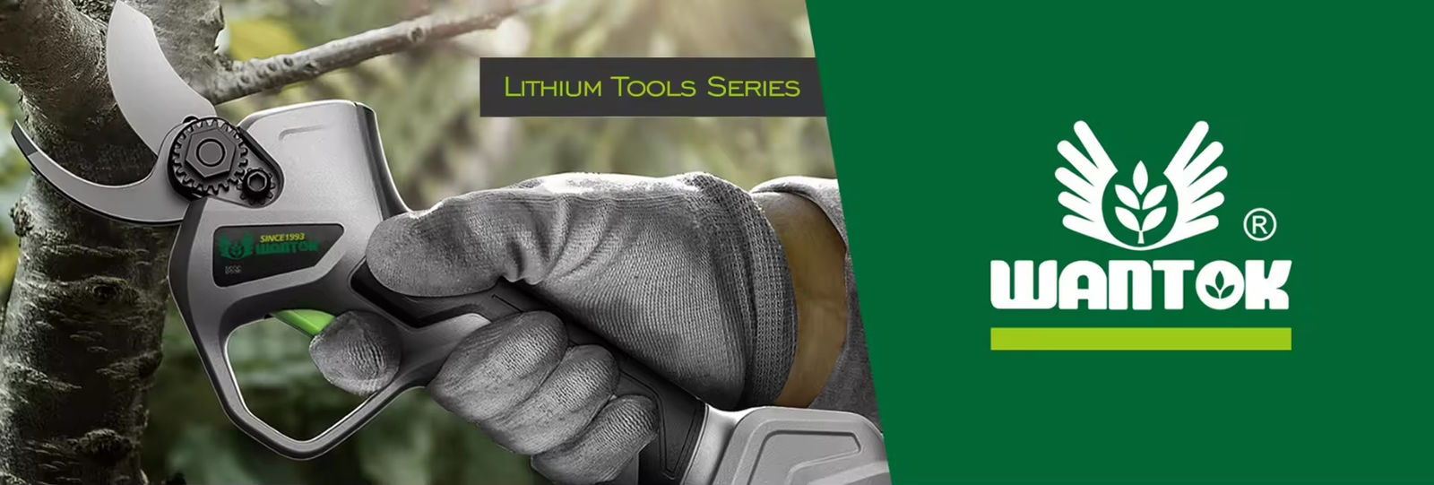 Basic Garden Tools