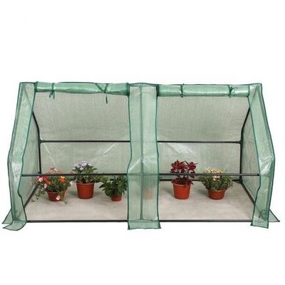 Metal Frame PE Portable Outdoor Mini Garden Walk-In Greenhouse for Planting Needs