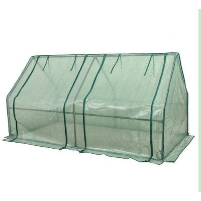Metal Frame PE Portable Outdoor Mini Garden Walk-In Greenhouse for Planting Needs