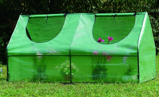 Metal Frame PE Portable Outdoor Mini Garden Walk-In Greenhouse for Planting Needs