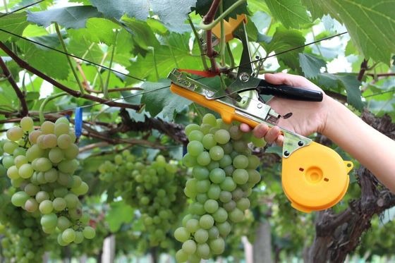 G236B Tape Tool for Agriculture Customized Support and 0.5kg Weight