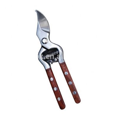 Stainless Steel Bypass Pruner with Wooden Handle Finishing Mirror Polished Grade DIY