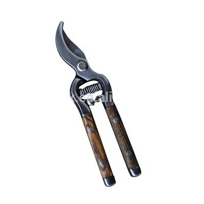 Stainless Steel Bypass Pruner with Wooden Handle Finishing Mirror Polished Grade DIY