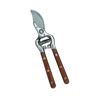 Stainless Steel Bypass Pruner with Wooden Handle Finishing Mirror Polished Grade DIY